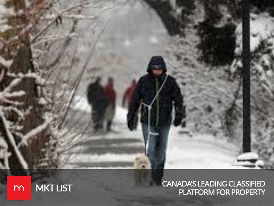 Weather Update Canada: Heavy Snowfall Alert for Calgary