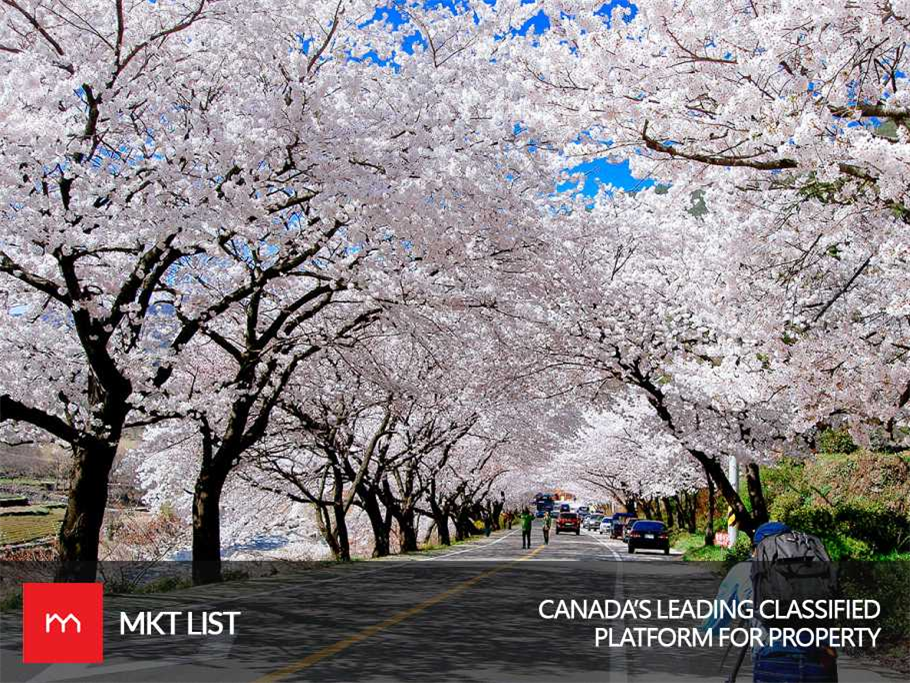 Forecast Canada: Spring is Here Finally!