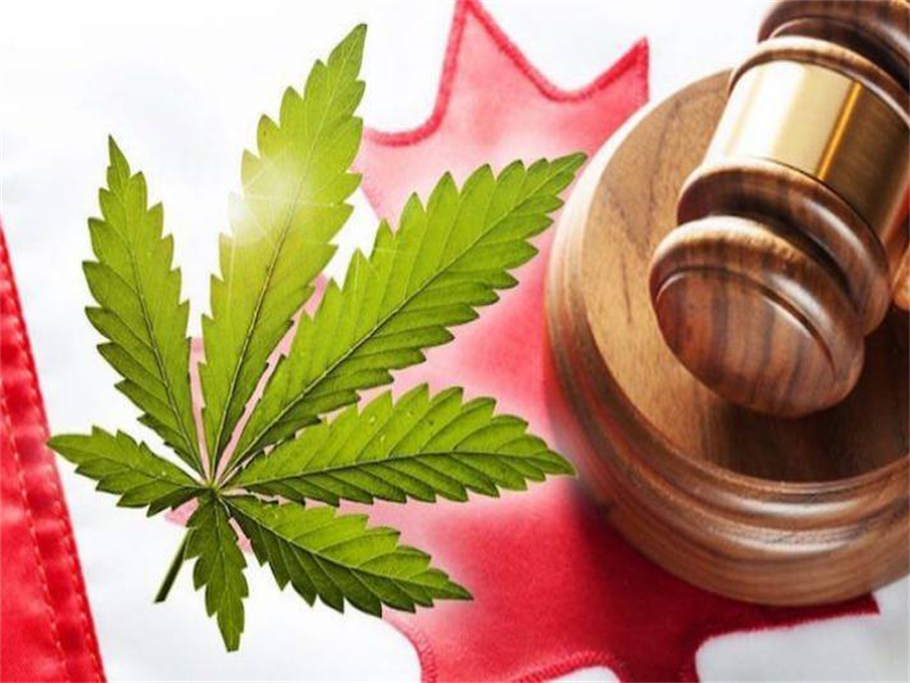 This is How the Cannabis Legalization Will Differ from Province to Province! 