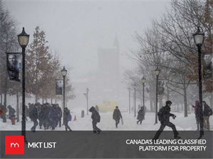 Weather Update Toronto: Spring is Bringing Snow Instead of Flowers this Time!