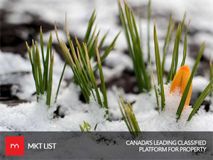 Canada Weather: Spring finally arrives in Toronto!