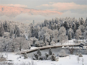 Wild B.C. weather issues warnings, notable statements from Environment Canada!