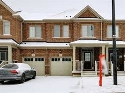 Spacious Free Hold Luxury Townhome With Big Backyard