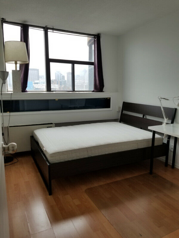 1 Single Room Available In Condo Downtown Toronto All