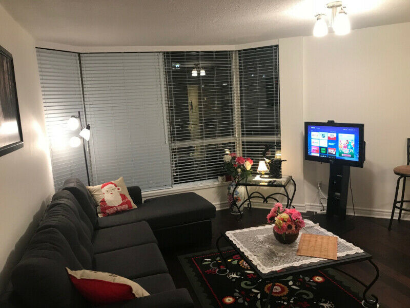 FULLY FURNISHED 1 BEDROOM LUXURY CONDO in Downtown