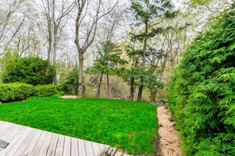 Renovated Detached House Backing onto Ravine For SALE in Toronto